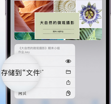 洛阳apple维修中心分享iPhone文件应用中存储和找到下载文件