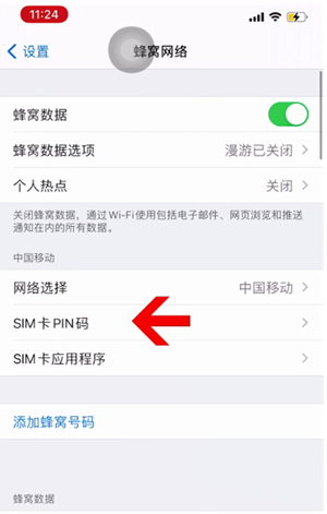 洛阳苹果14维修网分享如何给iPhone14的SIM卡设置密码 