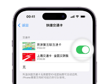 洛阳apple维修点分享iPhone上更换Apple Pay快捷交通卡手绘卡面 