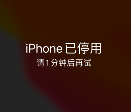 洛阳苹果手机维修分享:iPhone 显示“不可用”或“已停用”怎么办？还能保留数据吗？ 