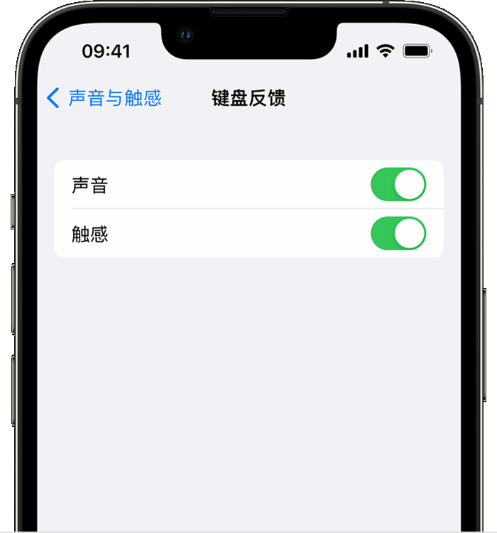 洛阳苹果14维修店分享如何在 iPhone 14 机型中使用触感键盘 