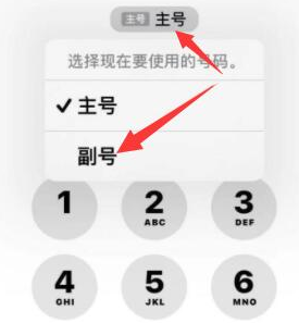 洛阳苹果14维修店分享iPhone 14 Pro Max使用副卡打电话的方法 