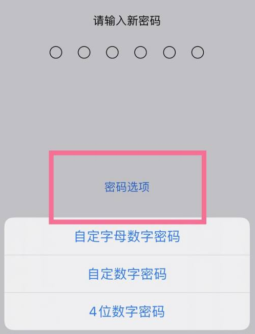 洛阳苹果14维修分享iPhone 14plus设置密码的方法 