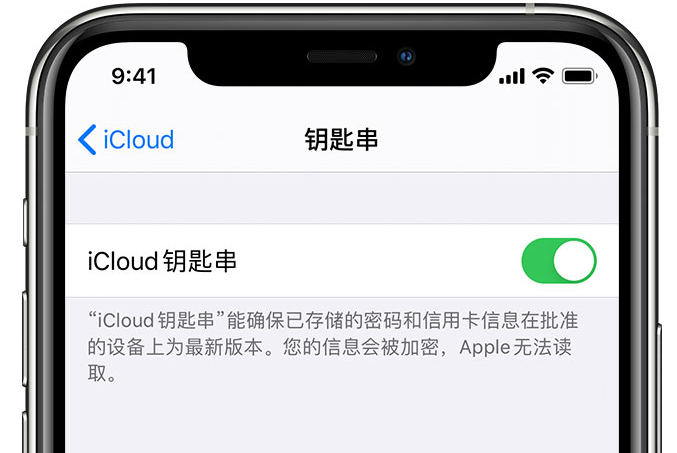 洛阳苹果手机维修分享在 iPhone 上开启 iCloud 钥匙串之后会储存哪些信息 