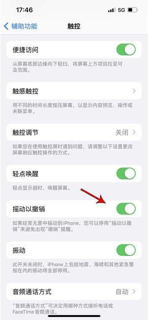 洛阳苹果手机维修分享iPhone手机如何设置摇一摇删除文字 