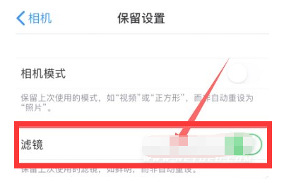 洛阳苹果13维修分享iPhone13拍照有绿点是怎么回事 