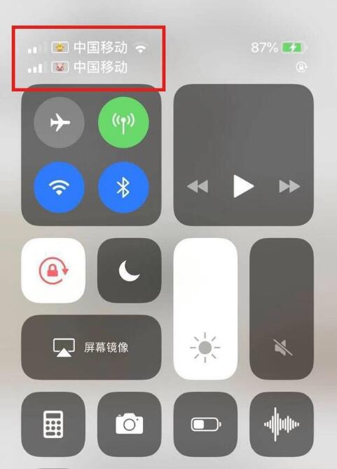洛阳苹果手机维修分享为 iPhone 12 双卡设置标签 